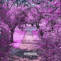 Stargazing - Sahlene Williams & Trinity star & Julian Scott