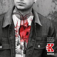 Nordmann - Kaveh Ali Mohammad & Vincent