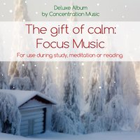 Relaxing Reading - ConcentrationMusic