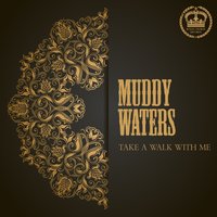 Little Anna Mae - Muddy Waters