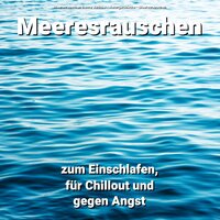 Meeresrauschen zum Einschlafen und Chillen Teil 24 - Meeresrauschen Benno Jänicke & Naturgeräusche & Meeresrauschen