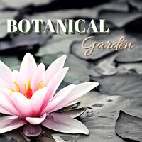 Birds Singing (Breathing Prana) - Spiritual Preachers
