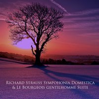 Le Bourgeois Gentilhomme: Suite, Op. 60: IV. Entrance and Dance of the Tailors - Chicago Symphony Orchestra & Fritz Reiner & Рихард Штраус