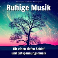 Wohlige Faszination - Entspannungsmusik Oase & Schlafmusik & Entspannungsmusik
