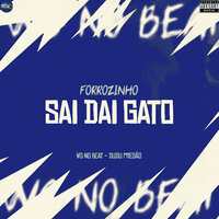 Forrozinho Sai dai Gato - WG No Beat & Dudu Pressão