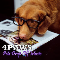 Downturn Beats - Solfeggio Healing Frequencies MT & Brainwave Samples & Deep Sleep