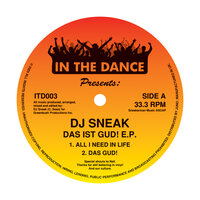 All I Need In Life - DJ Sneak