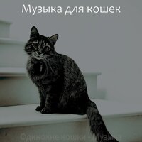 Моменты (Расслабляющие кошки) - Музыка для кошек