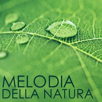 Addormentarsi e Sognare - Madre Natura