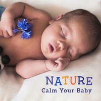 Moonlight Melodies - Bedtime Songs Sanctuary