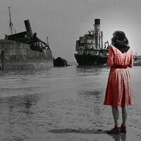 Depressions - Fred Vogels