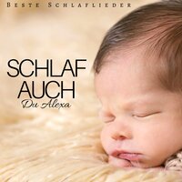 Musik für Gelassenheit - Meister der Schlaflieder
