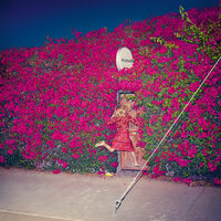 Century - Feist & Jarvis Cocker