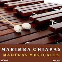 Disco, Tócame Aquella Pieza - Marimba Chiapas