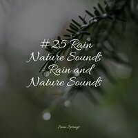 Playful River - Especialistas de Musica para Dormir & Exam Study Classical Music Orchestra & Asian Zen: Spa Music Meditation