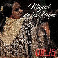 Caballo Cortijero - Miguel De Los Reyes