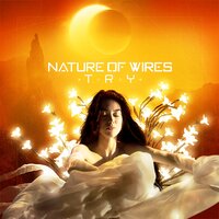 Try - Nature Of Wires