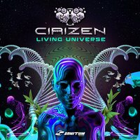What Can I Do - CiriZen