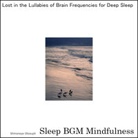 Restorative Dreams Emerge from Night's Silence - Sleep BGM Mindfulness