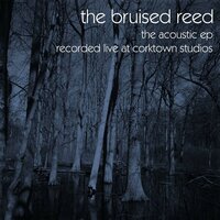 Tempers and Tortures - The Bruised Reed
