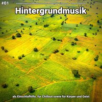 Hintergrundmusik pt. 52 - Entspannungsmusik Meditationsmusik Einschlafmusik & Schlafmusik & Entspannungsmusik
