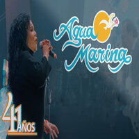 Se Te Fue la Mano - Agua Marina
