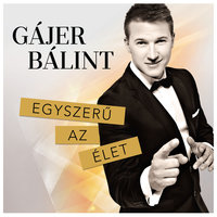 Értem jött a nyár - Gájer Bálint