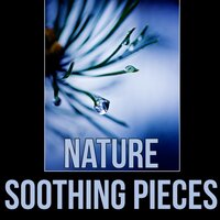 Pure Yoga Music - Serenity Nature Sounds Academy