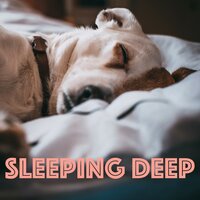 Rain - Background Sounds