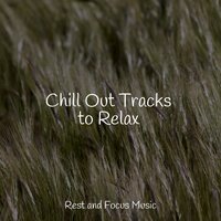 Beautiful Moonlight - Guided Meditation & Massage & Sleep Sound Library