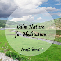 Music In Nature - Music For Deep Sleep & Music for Sleep & Dog Music Dreams