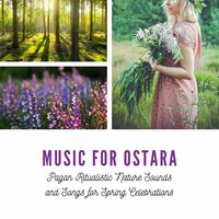Spring Equinox - Springy Sensations