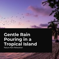 A Night in the Island - Nature Rain Relaxation