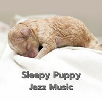 Peaceful Pet Music - Jazz Music Therapy for Dogs