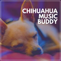 Puppy Soothing Music, Pt. 11 - Calming for Dogs