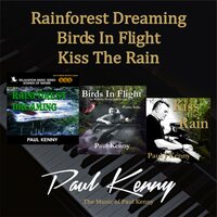 Birds In Flight (Piano Solo) - Paul Kenny