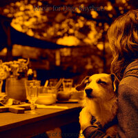 Excellent Cute Puppies - Music for Dogs Rhythms