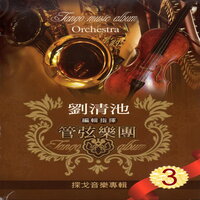 黑眼珠 - Qing Chi Liu