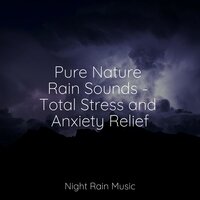 Running Water - Chillout Lounge & Sleep Songs 101 & The Sleep Principle