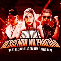Subindo e Descendo no Paredão - mc demazinho & Thammy & MC Hollywood