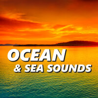 Relaxing Pacific Beach Sounds - Ocean Sounds