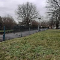Schaltjahr - DJMEGASCHLECHT