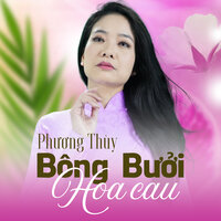 Về Dưới Mái Nhà - Phuong Thuy