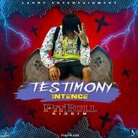 Testimony - INTENCE