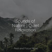 Luminous Moonlight - Calm shores & Ruído branco & Massagem