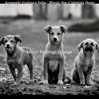 Subtle Doggy Training - Music for Dogs Lounge