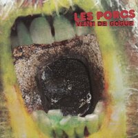 Tu cours - LES PORCS