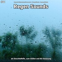 Regen Sounds, pt. 73 - Regen zur Entspannung Susanna Igel & Naturgeräusche & Regengeräusche