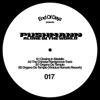 Organo Do Tempio - Pushmann