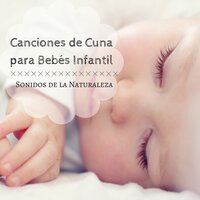 Acuático - Paraíso Secreto